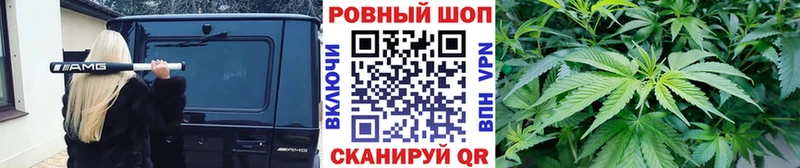 Магазины продажи наркотиков Кировград Гашиш  A PVP  Псилоцибиновые грибы  Бошки Шишки  Меф мяу мяу 