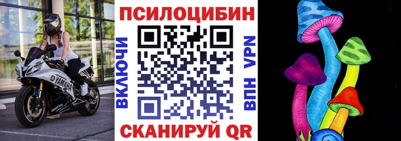 Псилоцибиновые грибы GOLDEN TEACHER  закладки  Кировград 